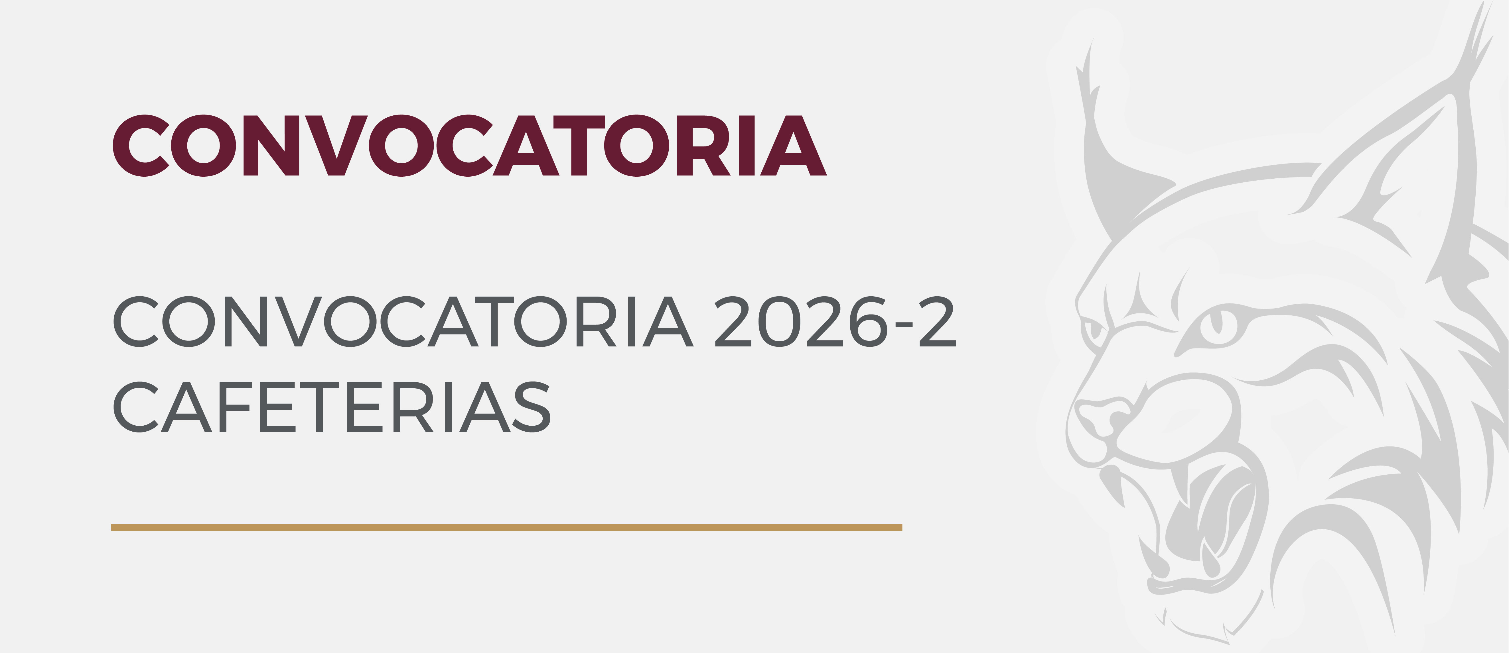 CONVOCATORIA