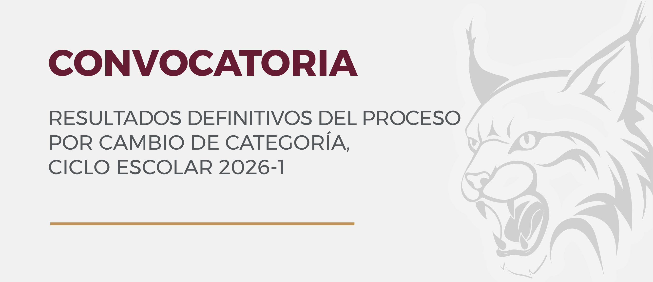 CONVOCATORIA
