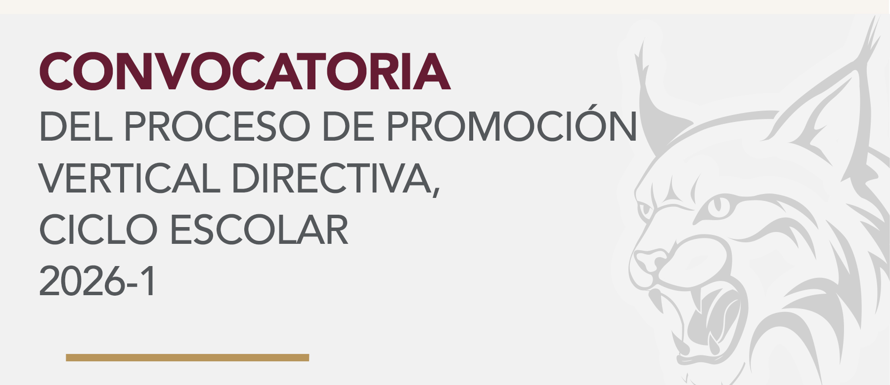 CONVOCATORIA