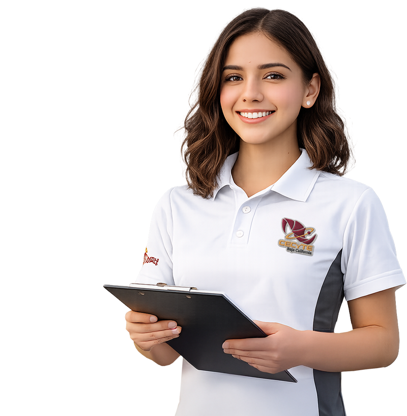 Técnico en Logística