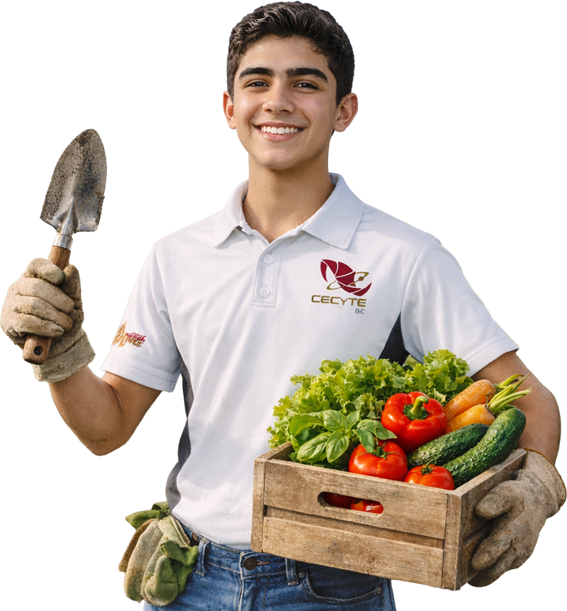 Técnico en Sistemas de Producción Agrícola